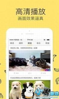 香蕉在线影院免费观看,免费畅享电影盛宴